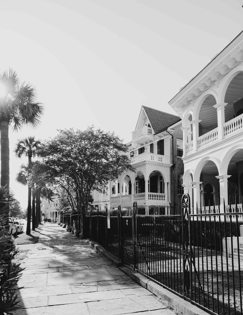 Carolina Black&White