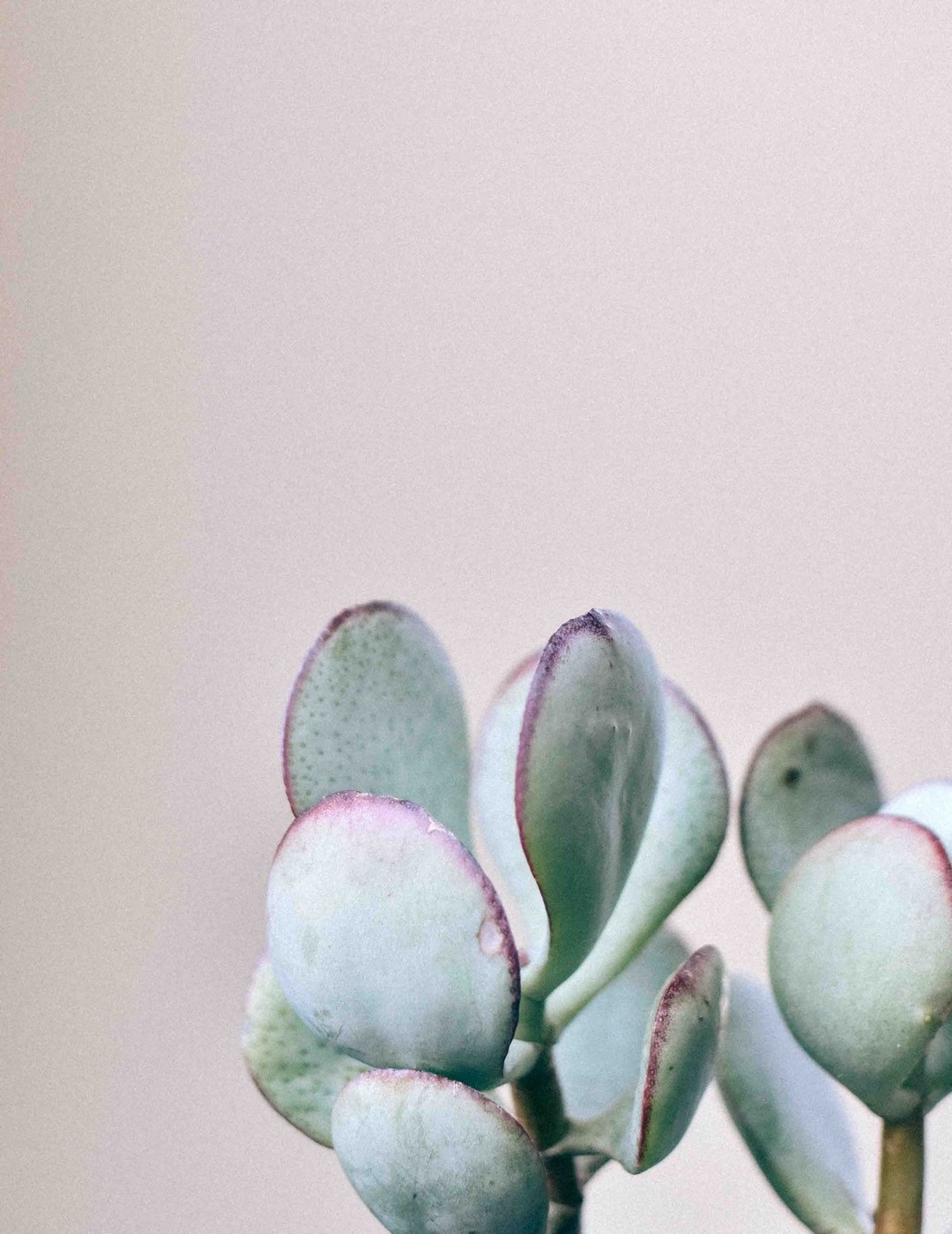 Gallery image with a fresh perspective
