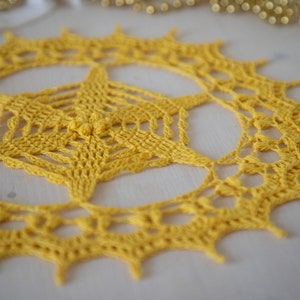 PDF Libena doily crochet pattern, instant download image 9