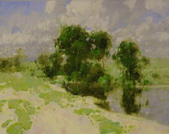 Meadow Landscape oil Painting Original Handmade Artwork One of a Kind Signed Ready to Hang