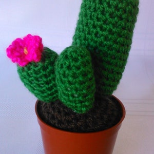 Crochet Cactus Plant