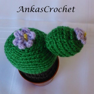 Crochet Cactus Plant