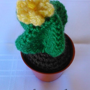 Crochet Cactus Plant