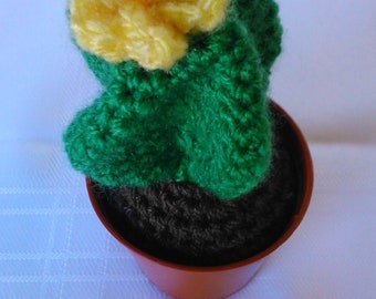 Crochet Cactus Plant