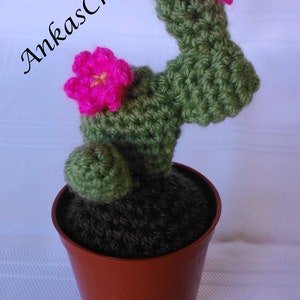 Crochet Cactus Plant