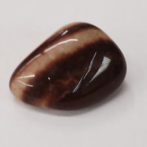 Shiva Lingam Tumbled 25mm