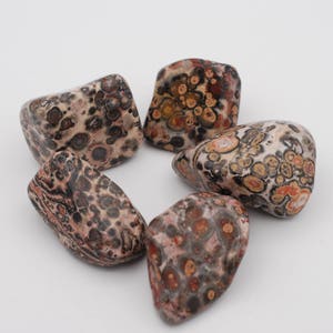 Natural Leopard Skin Jasper Tumble Stone, sold by piece