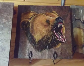 Grizzly bear on slate