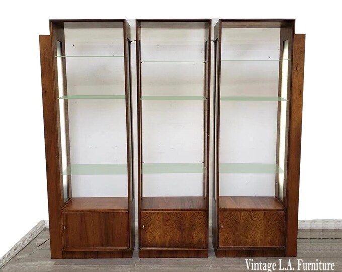 Mid Century Lighted Modular Wall Unit Bookcase Etagere Display Cabinet ~ Asis