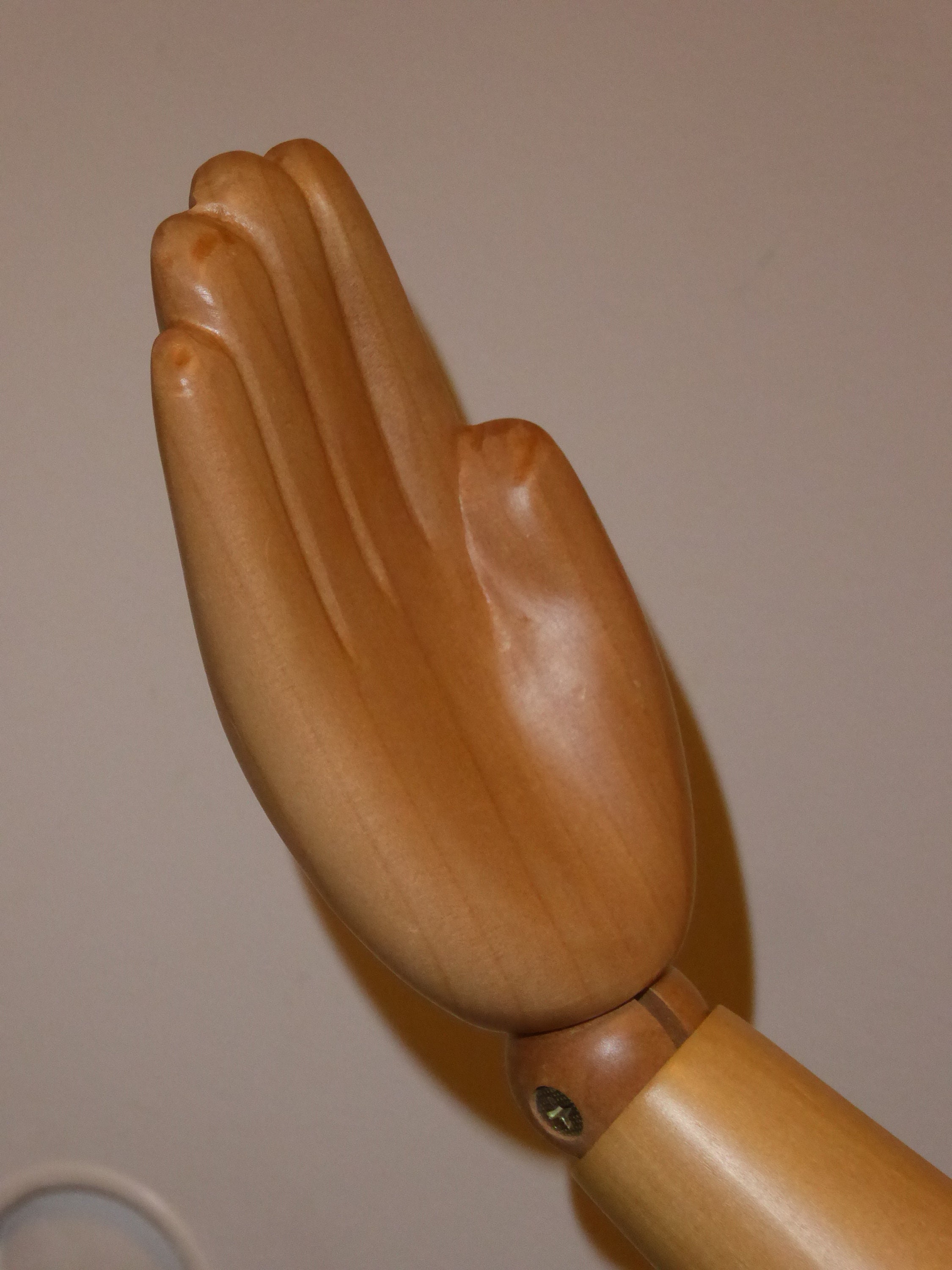 Child Mannequin Torso & Head with Posable Arms and Adjustable Height