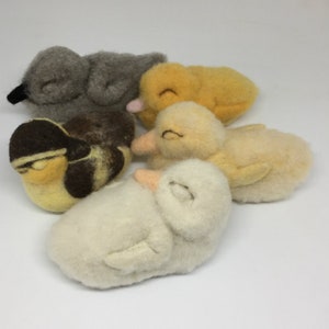 Duck & Ducklings Needle Felting Craft Kit