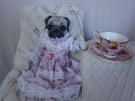 pug reborn