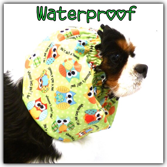 waterproof dog hat