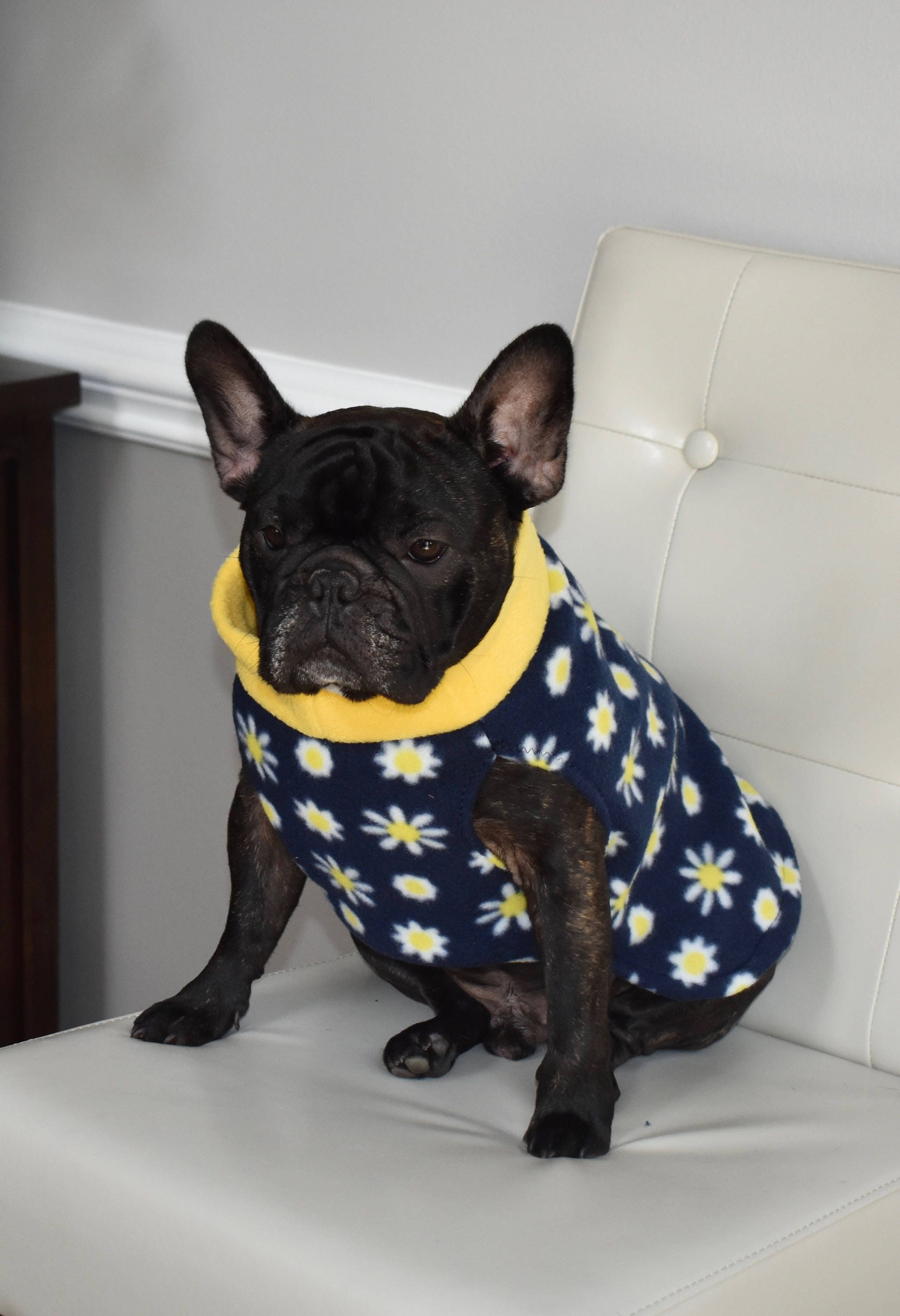 READY TO SHIP French bulldog fleece dog sweater navy daisy Etsy