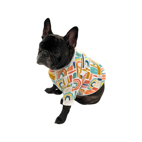 Dog clothes for top sale near me