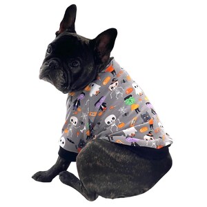May include: A black French bulldog wearing a grey and black Halloween-themed dog shirt with a variety of spooky characters and pumpkins.