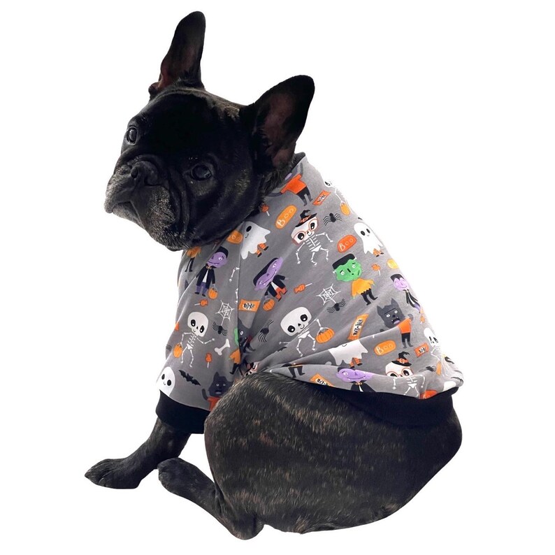 May include: A black French bulldog wearing a grey and black Halloween-themed dog shirt with a variety of spooky characters and pumpkins.