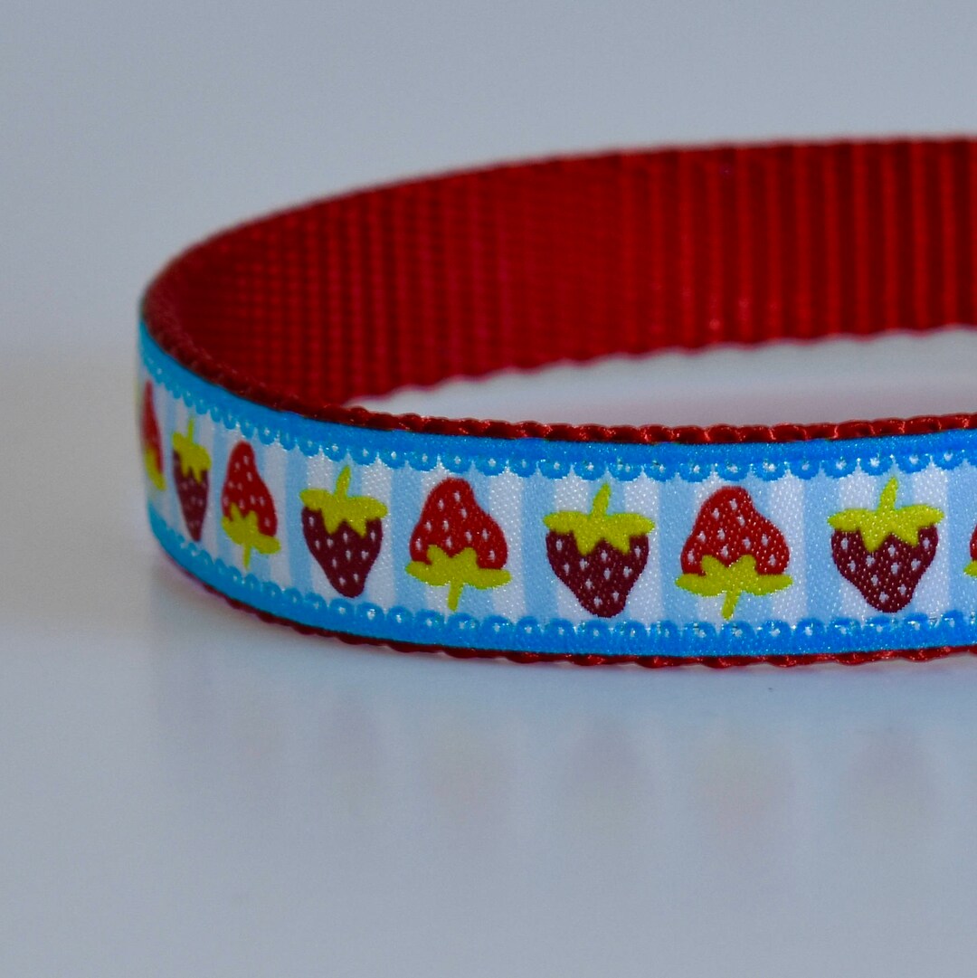 Strawberry Dog Collar Fruit Dog Collar Blue Dog Collar Red Etsy