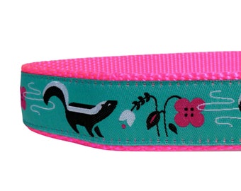 skunks on teal dog collar, neon dog collar, teal dog collar, pink dog collar