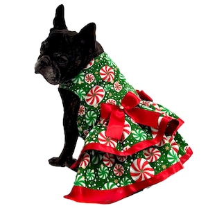 french bulldog christmas dress Even though he hates clothes he will still be the cutest reindeer of all   #frenchie #frenchbulldog #reindeer