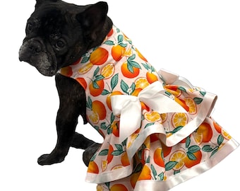 Oranges on peach dog dress, summer dress, tropical dog dress, French bulldog dress, small dog dress