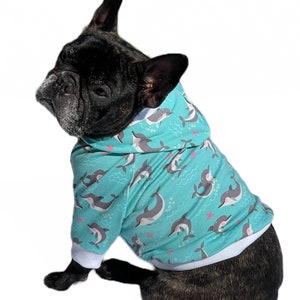 May include: A black French bulldog wearing a light blue hooded sweatshirt with a dolphin print. The sweatshirt has white trim around the hood and cuffs.