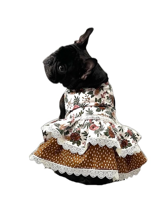 boho dog dress, floral dog dress, fall dog dress, small dog dress, holiday dress, ruffle dress, dress for French bulldog boho dog dress, floral dog dress, fall dog dress, small dog dress, holiday dress, ruffle dress, dress for French bulldog