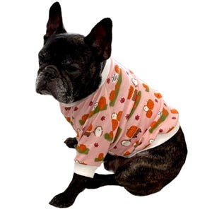 May include: A French bulldog wearing a pink and orange dog sweater with a pumpkin and hedgehog pattern. The sweater has white trim around the neck and sleeves.
