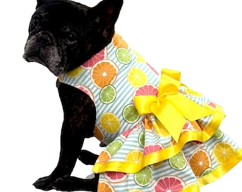 citrus slices dog dress, lemons, limes, oranges,  summer dog dress, tropical dog dress, French bulldog dress, small dog dress