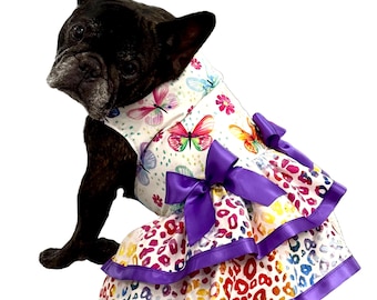 Butterflies and animal print dog dress, summer dress, dress for small dogs, dress for French bulldog