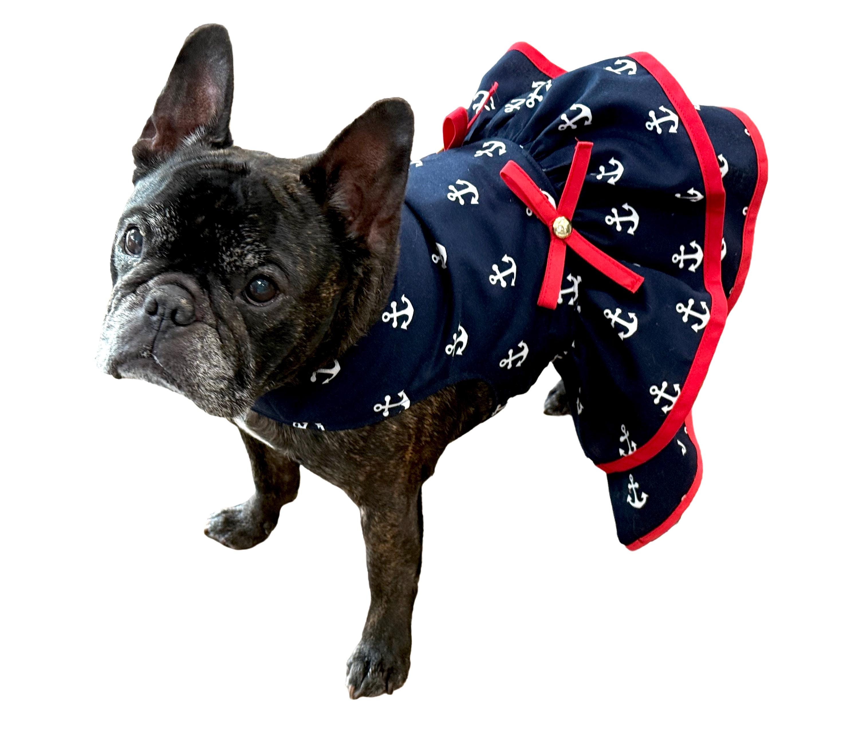 Dog Kennel Big Thicket Kennels 40 Animals And Their Homes: Fun