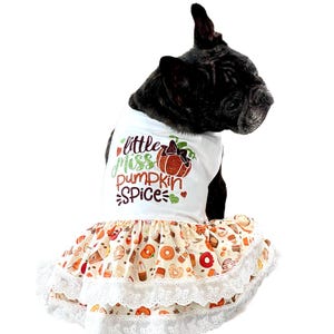 Fall dog dress, Pumpkin dog dress, Thanksgiving dog dress, dress for small dog, halloween, ruffle dog dress, XS-L
