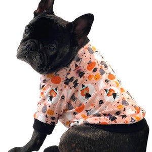 Halloween dog shirt , small dog clothes, Dog clothes, shirt for French bulldogs, holiday dog clothes, fall, harvest