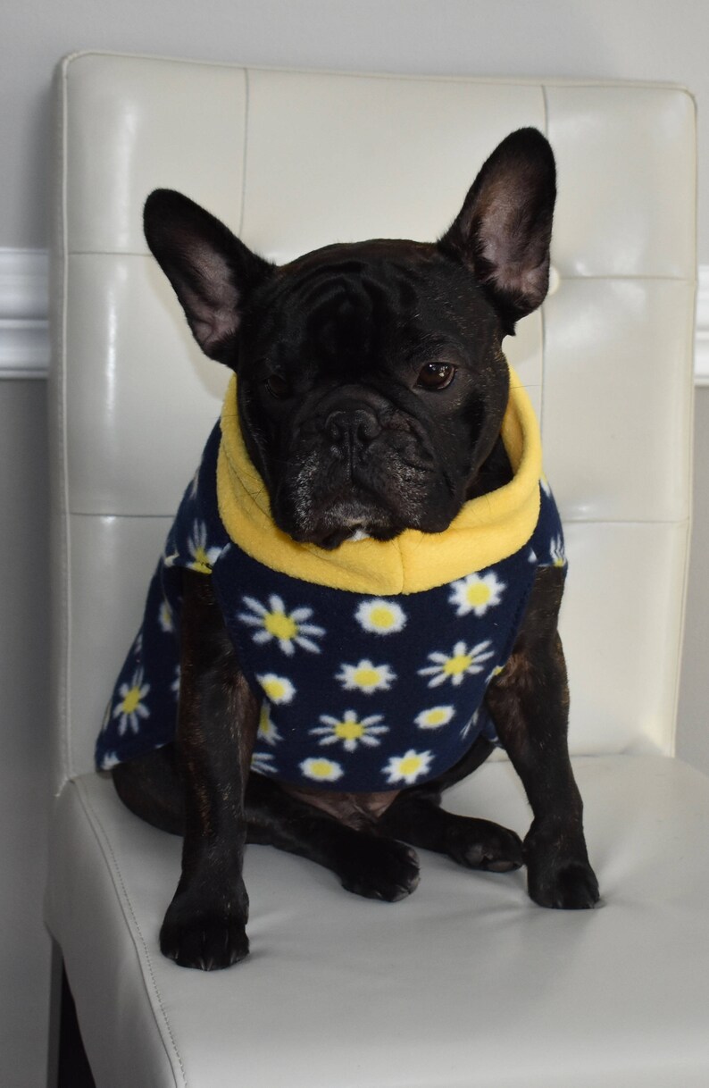 French Bulldog fleece dog sweater daisy winter sweater Etsy