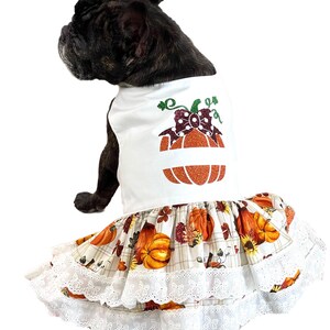 Fall theme dog dress, Pumpkins, Thanksgiving, plaid dog dress, dress for small dog, halloween, ruffle dog dress, XS-L