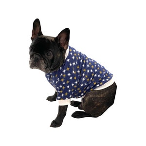 May include: A black French bulldog wearing a blue and white star patterned sweater with gold accents.