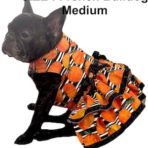 pumpkin dog dress, halloween dog dress, striped dog dress, thanksgiving dress, fall dress