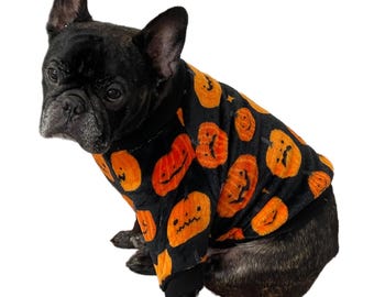 May include: A black French Bulldog wearing a black and orange Halloween-themed dog shirt. The shirt features a pattern of smiling jack-o'-lanterns. The dog is sitting and looking towards the left.