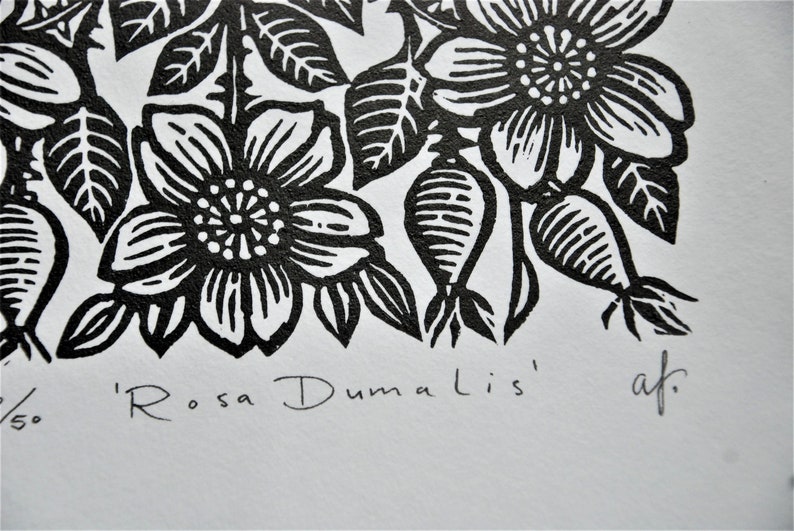 ROSA DUMALIS handmade block print linocut image 6