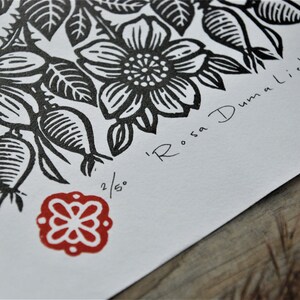 ROSA DUMALIS handmade block print linocut image 4