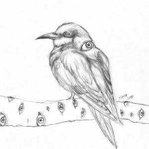 surrealer Vogel mit Augapfel Postkarten, Halloween Geschenk, Geburtstagskarte, Limitierte Karte, skurrile Karte, Handgemachte Karte, dunkel