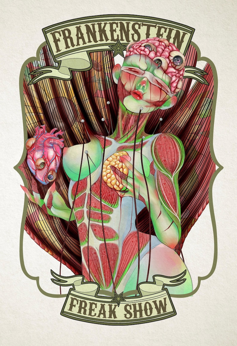 K&ouml;nnte beinhalten: Eine digitale Illustration mit dem Titel Frankenstein Freak Show, die eine anatomische Figur mit freiliegendem Muskelgewebe, einem gehirnartigen Kopf und einem in der Hand gehaltenen Herzen zeigt. Die Figur ist mit Nadeln und F&auml;den verziert.