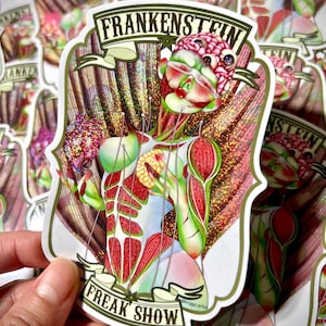 K&ouml;nnte beinhalten: Ein gestanzter Aufkleber mit einer stilisierten anatomischen Figur mit freiliegenden Muskeln und einem Gehirn, die ein Herz h&auml;lt. Das Design enth&auml;lt den Text FRANKENSTEIN oben und FREAK SHOW unten, mit glitzerndem Finish und feinen Linien.