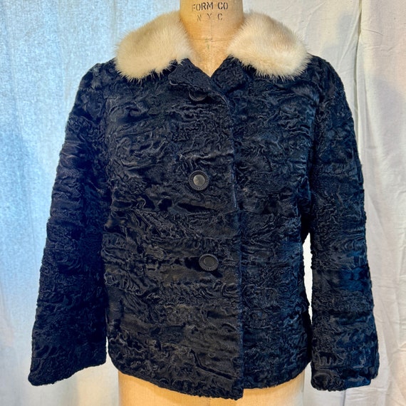 Gorgeous Black Broadtail Persian Lamb Fur Jacket … - image 1