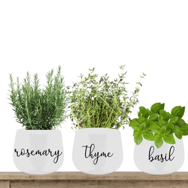 Garden Herb Labels, Boxes , Herb Pots , Greenhouses ,Flower Pot, Plant Herb Garden Decals, DIY Vinyl Labels, Personalised ,Organizing labels