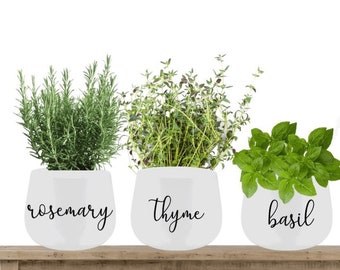 Garden Herb Labels, Boxes , Herb Pots , Greenhouses ,Flower Pot, Plant Herb Garden Decals, DIY Vinyl Labels, Personalised ,Organizing labels