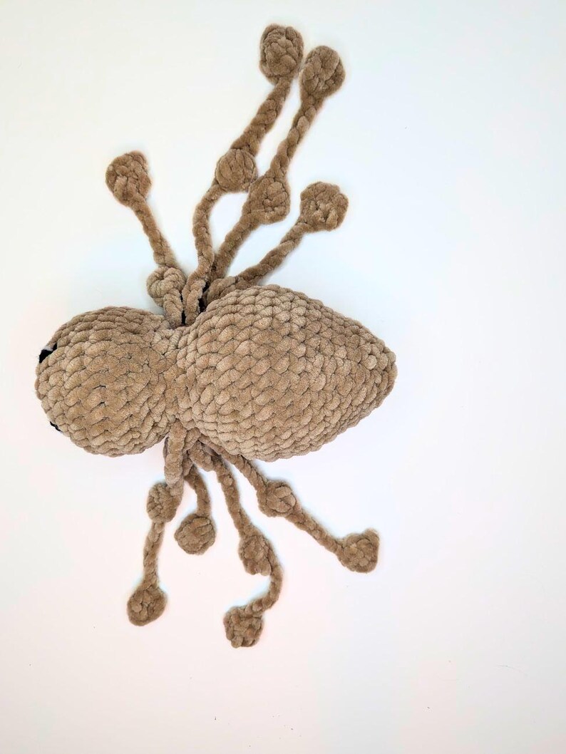 Top down view of a light brown crocheted spider. There are eight long legs that can be pulled back and forth the create a quiet fidget toy.