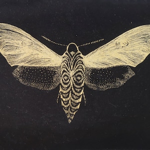 Patch moth ⎮ patch moth ⎮ hand screen printed moth ⎮ patch black gold ⎮ patch moth gold⎮ patch black gold ⎮