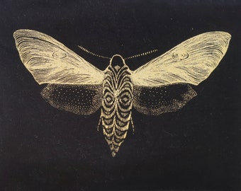Patch moth ⎮ Patch moth ⎮ Hand screen printed moth ⎮ Patch black gold ⎮ Patch moth gold⎮ Patch black gold ⎮