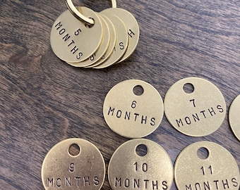 Sobriety Coins - 1-12 Months Set | AA Chips | Hand Stamped Brass Sober Tokens - 1 month through 12 months Recovery Medallions
